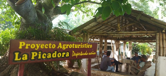 El renacer de La Picadora