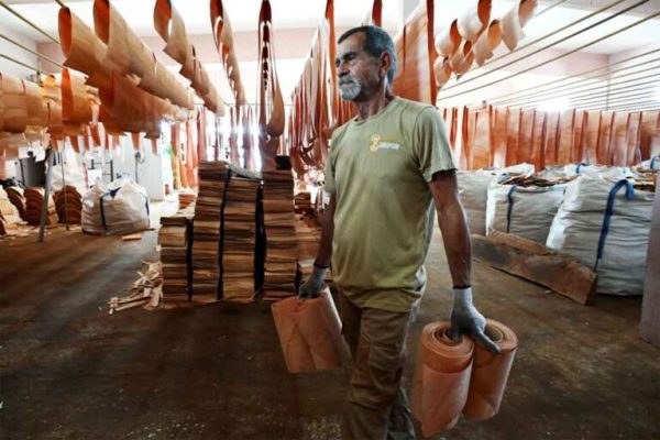 Nuevas producciones de Laminados Concepción buscan destinos en Festival del Habano