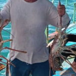Pesca a pulmón distingue a langosteros de Casilda