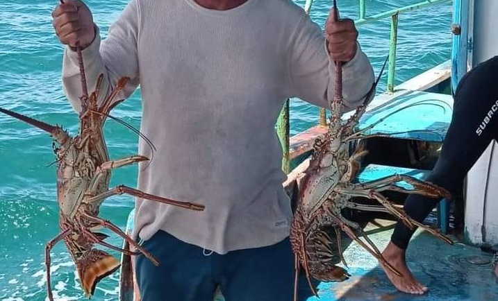 Pesca a pulmón distingue a langosteros de Casilda