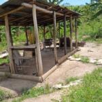 Avanza en Trinidad legalización de bienhechurías en tierras ociosas