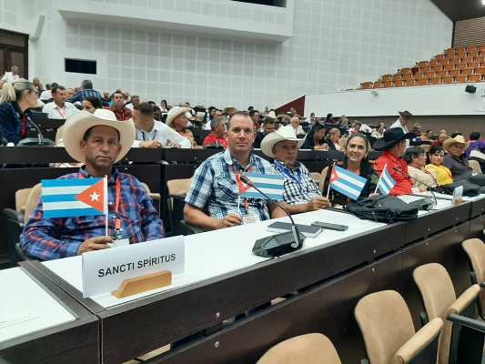 Delegado directo por derecho propio
