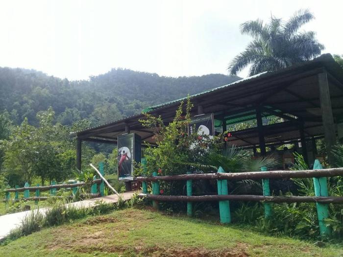 Lomas de Banao camino a Parque Nacional