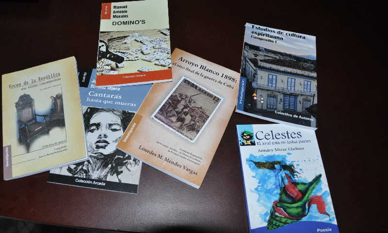 Sello Luminarias registra escasas ventas de libros digitales