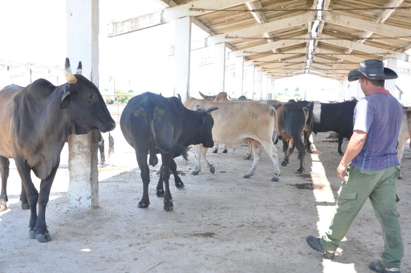 Retoma Fomento ejercicio sobre control de la masa ganadera y la tierra