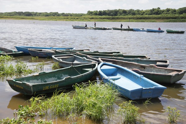 Embarcaciones y botes están a buen resguardo. Foto: Oscar Alfonso Sosa.
