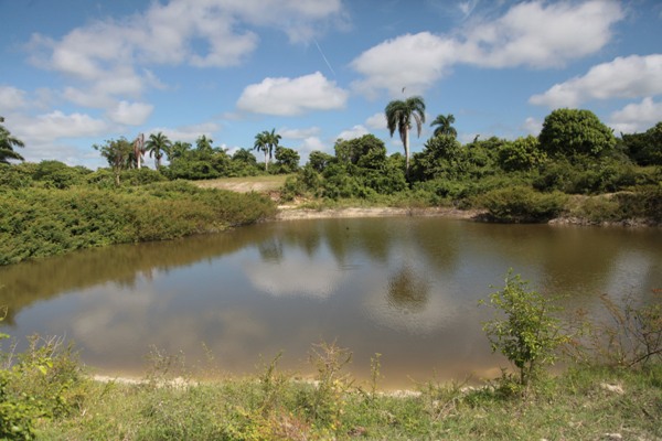 Embalses bajo vigilancia y medios de pesca resguardados