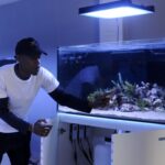 Miniacuario de Playa La Boca pone a ecosistema marino a la vista de todos