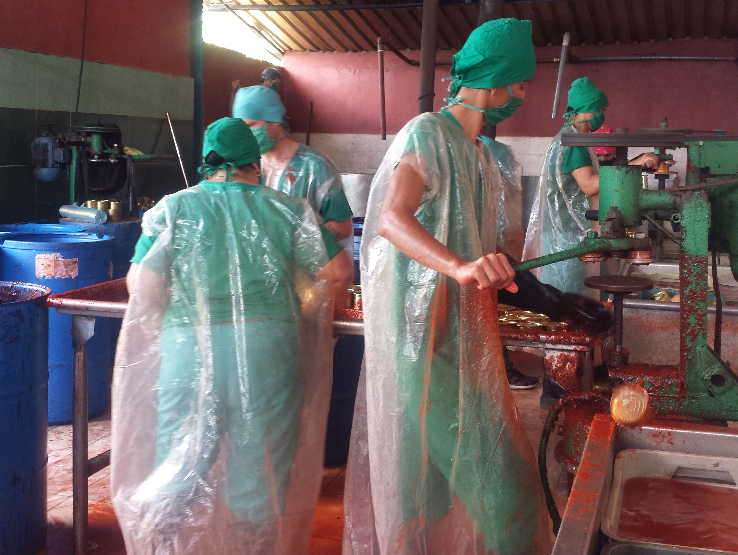 Minindustrias ganan protagonismo en el sector de la agricultura