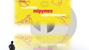 Detectan irregularidades en garantía de productos comercializados por TCP, Mipymes y el sector estatal