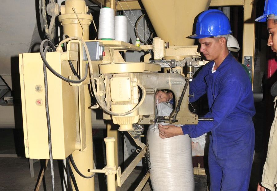 Harina de arroz entre producciones alternativas de Empresa Sur del Jíbaro