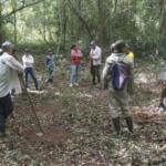 Conservación de ecosistemas de montaña: una prioridad en el norte espirituano