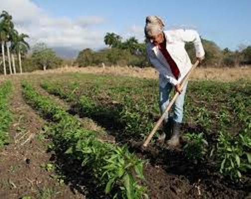 Reconocen en La Sierpe y Yaguajay labor de la mujer rural