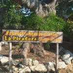 Decrece número de visitantes a la finca turística La Picadora