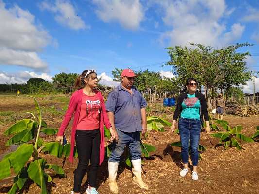 Las “Dos hermanas” de Onel