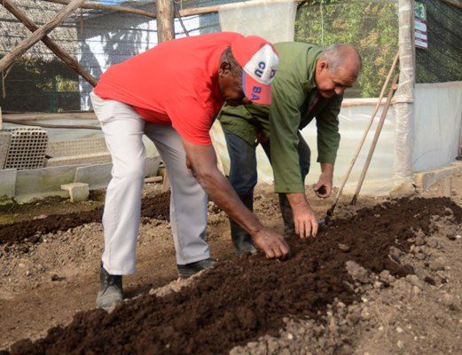 La lombricultura aporta el humus para fertilizar y mejorar los suelos. Foto: Oscar Alfonso Sosa.