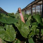 Diversificación e integralidad: senderos del progreso