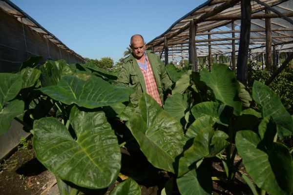 Diversificación e integralidad: senderos del progreso