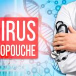 Virus de Oropouche: Sancti Spíritus sin casos diagnosticados