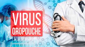 Sancti Spíritus no registra circulación de la fiebre de oropouche