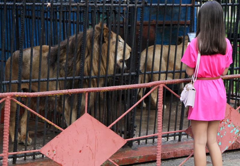 Zoológico espirituano entre propuestas preferidas del público infantil este verano