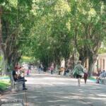 Amplio programa recreativo cerrará el verano en Cabaiguán
