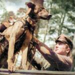 Animales héroes de la Segunda Guerra Mundial