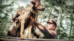 Animales héroes de la Segunda Guerra Mundial