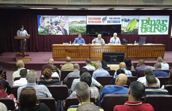 Evalúa Díaz-Canel corrección de distorsiones y reimpulso de la economía