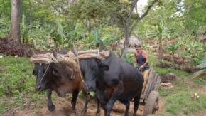 Fomentenses enaltecen su serranía