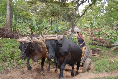 Fomentenses enaltecen su serranía