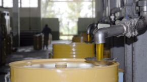 Diversificación y encadenamiento se funden en Centro espirituano de Desarrollo Apícola
