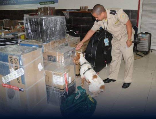 Cuba reitera su política de tolerancia cero al tráfico de drogas