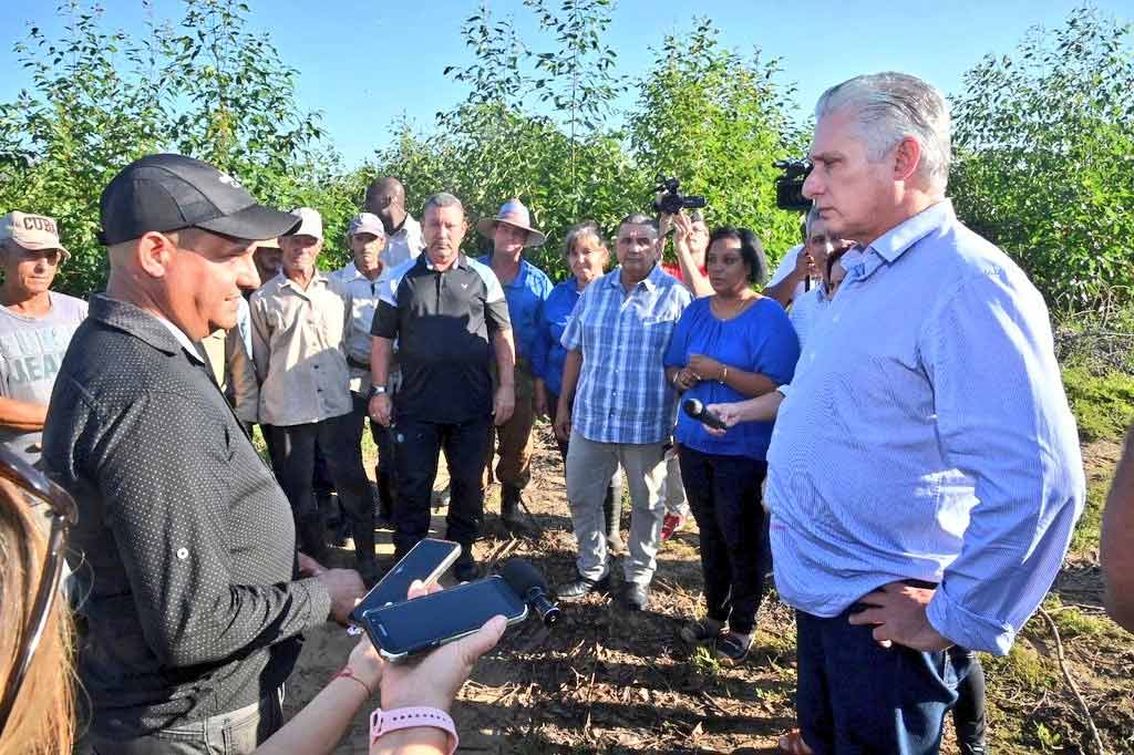 Recorre presidente de Cuba provincia afectada por tormenta tropical (+Foto)