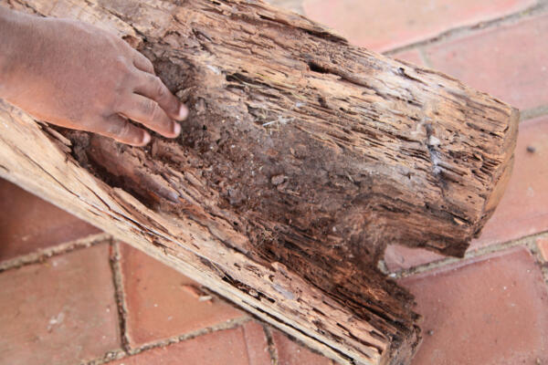 Todos los elementos de madera, muy deteriorados, están siendo sustituidos.