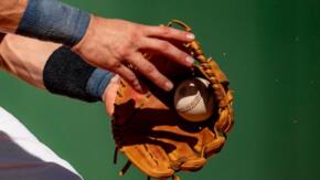 Dividen Gallos y Tigres en la reanudación de la 64 Serie Nacional de Béisbol
