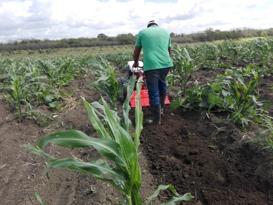 La llegada a la finca de la nueva tecnología es un factor importante para producir más. Foto: Eduardo Sicilia Hdez.
