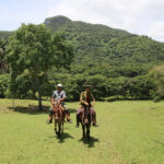 Naturaleza abrigada en Lomas de Banao