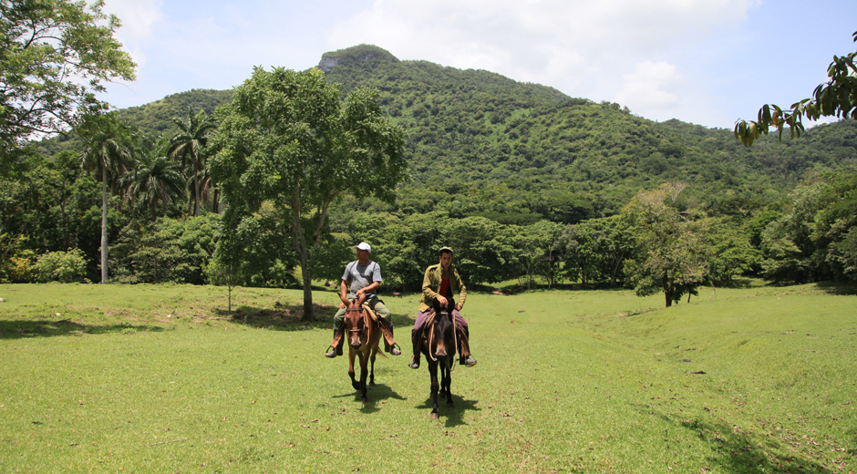 Naturaleza abrigada en Lomas de Banao