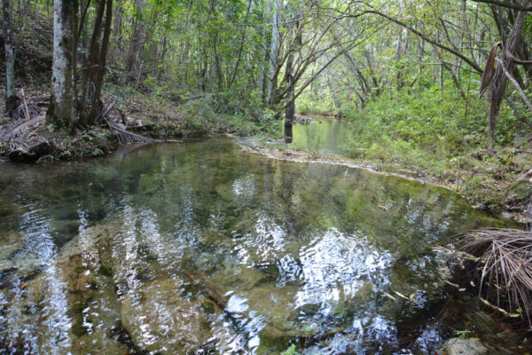 Ríos de aguas claras abrigados por bosques bien conservados, uno de los regalos de Loma de Banao. Foto: Oscar Alfonso Sosa.