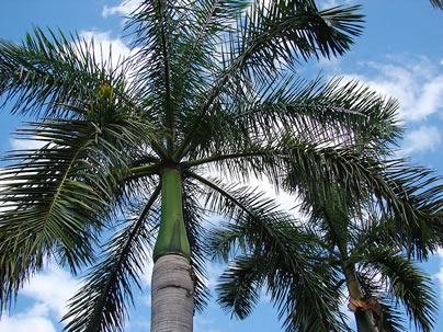 Pasión por Cuba se siente en Sancti Spíritus