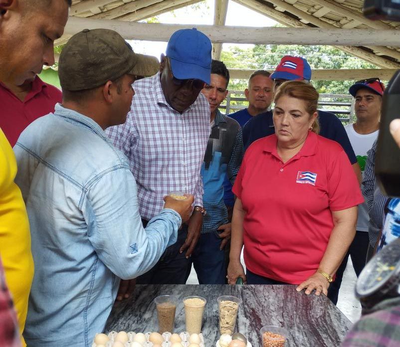 Insta Valdés Mesa en Sancti Spíritus a agilizar resultados en autoabastecimiento