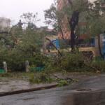 Azucareros de Tuinucú aportan a recuperación en Santiago tras huracán Melissa