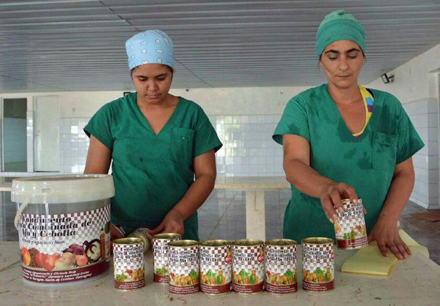 Desmienten papel de EEUU en crecimiento del sector no estatal en Cuba