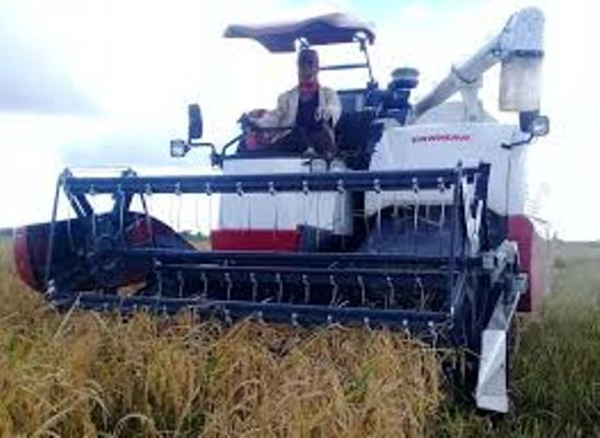 UBPC de La Sierpe labora en recuperación de su producción arrocera