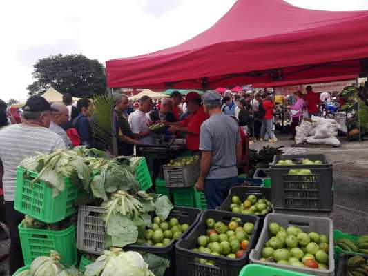 Proyecto internacional en Taguasco favorece cumplimiento de Ley de Soberanía Alimentaria