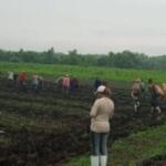 Taguasquenses abogan por una mejor fuente de alimentos