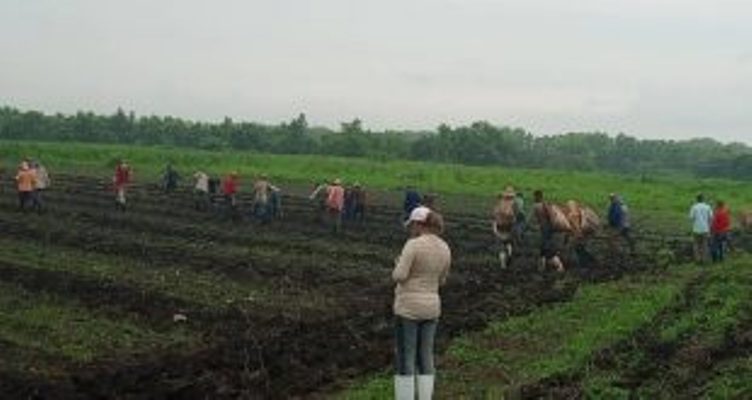 Taguasquenses abogan por una mejor fuente de alimentos
