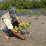 Sancti Spíritus se alista para celebración del Día del Medio Ambiente
