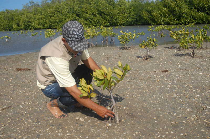 Sancti Spíritus se alista para celebración del Día del Medio Ambiente